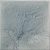 Briar Leather